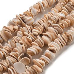 Natural Seashell Shell Beads Strands, Dyed, Nuggets, PeachPuff, 2.5~6x9~17.5x9~11mm, Hole: 0.8mm, about 132pcs/strand, 15.35~15.75''(39~40cm)(SSHEL-H072-06)