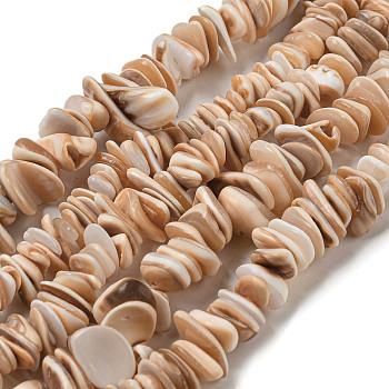 Natural Seashell Shell Beads Strands, Dyed, Nuggets, PeachPuff, 2.5~6x9~17.5x9~11mm, Hole: 0.8mm, about 132pcs/strand, 15.35~15.75''(39~40cm)