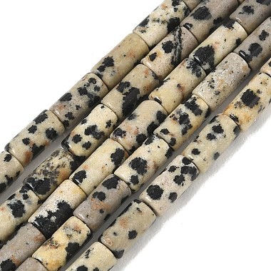Natural Dalmatian Jasper Beads Strands(G-B091-A19-01)-2