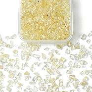 30G Natural Citrine Chip Beads, No Hole/Undrilled, 2~12x2~10x1~3mm(G-YW0001-63)