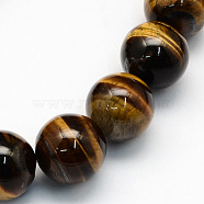 Natural Tiger Eye Round Beads Strands, 12.5mm, Hole: 1.2mm, about 30pcs/strand, 15.1 inch(G-S177-12mm)