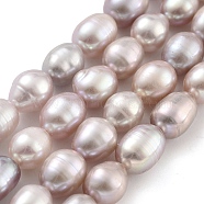 Natural Cultured Freshwater Pearl Beads Strands, Rice, Grade 2A, Thistle, 7~8mm, Hole: 0.6mm, about 21~22pcs/strand, 6.89''~7.09''(17.5~18cm)(PEAR-P062-10B)