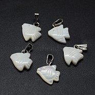 Shell Charms, with Brass Findings, Fish, Platinum, 13~15x11~13x2~4mm, Hole: 2x5mm(X-SSHEL-E564-10P)
