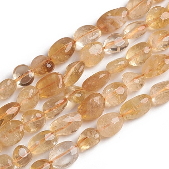 Natural Citrine Beads Strands, Nuggets, Dyed & Heated, Tumbled Stone, 10~15x7.5~11.5x7.5~12.5mm, Hole: 1mm, about 36pcs/Strand, 15.67 inch(39.8 cm)