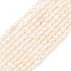 brins de perles de culture d'eau douce naturelles(PEAR-D003-01D-01)-2