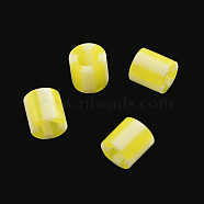 PE DIY Melty Beads Fuse Beads Refills, Column, Yellow, 5x5mm, Hole: 3mm, about 8000pcs/500g(DIY-R037-09)