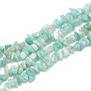 Natural Amazonite Beads Strands, Chip, 5~11x3~9x1~9mm, Hole: 1mm, about 200~300pcs/strand, 33.8 inch(G-S314-19)