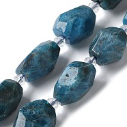 Natural Apatite Beads Strands, Faceted, Nuggets, 16.5~27.5x9.5~21.5x9.5~21.5mm, Hole: 2mm, about 12~15pcs/strand, 15.16~15.75''(38.5~40cm)(G-H095-A04-01)