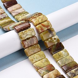 Natural Dragon Blood Jabe Beads Strands, Rectangle, 10x20x5.5mm, Hole: 1mm, about 20pcs/strand, 7.99''(20.3cm)(G-E572-05)