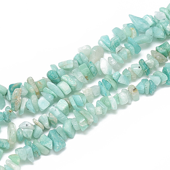 Natural Amazonite Beads Strands, Chip, 5~11x3~9x1~9mm, Hole: 1mm, about 200~300pcs/strand, 33.8 inch