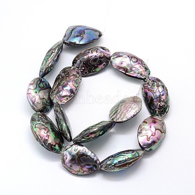 Natural Paua Shell Beads Strands(SSHEL-J047-07A)-2