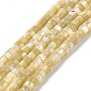 Natural Trochus Shell Beads Strands, Disc, Heishi Beads, Wheat, 4x2~2.5mm, Hole: 0.9mm, about 161pcs/strand, 15.55''(39.5cm)(SHEL-K006-26)