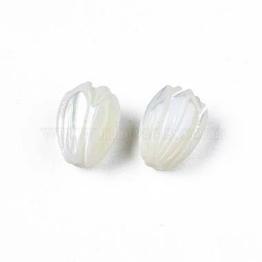 Natural Trochid Shell/Trochus Shell Beads(SSHEL-T014-33)-4