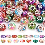 Pandahall 60Pcs 15 Colors Transparent Resin European Rondelle Beads, Large Hole Beads, with Polymer Clay and Platinum Tone Alloy Double Cores, Mixed Color, 14x8.5mm, Hole: 5mm, 4pcs/color(RPDL-TA0001-05)