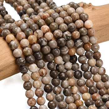 Natural Fossil Coral Beads Strands, Smooth Round, 4mm, Hole: 0.9mm, about 89~90pcs/strand, 15.35~15.55 inch(39~39.5cm)