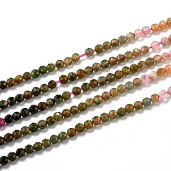 Natural Tourmaline Beads Strands, Gradient Color, Faceted, Round, 3mm, Hole: 0.7mm,about 170pcs/strand, 15.55 inch(39.5cm)(G-H266-15B)