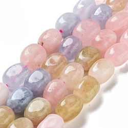Dyed Natural Malaysia Jade Beads Strands, Oval, Mixed Color, 8.5~11x7~8.5x7~8.5mm, Hole: 1mm, about 18pcs/strand, 7.28~7.48 inch(18.5~19cm)(G-P528-I02-01)