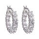 Brass Micro Pave Clear Cubic Zirconia Hoop Earrings(EJEW-K083-42P)-1