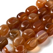 Natural Agate Beads Strands, Dyed & Heated, Cube, Chocolate, 11~12x8~9.5x8~9.5mm, Hole: 1.2mm, about 16pcs/strand, 7.48~7.72''(19~19.6cm)(G-H295-A01-11)