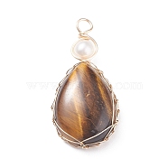 Natural Tiger Eye Copper Wire Wrapped Pendants, with Grade A Natural Cultured Freshwater Pearl, Real 18K Gold Plated, Teardrop, 38~43x19~19.5x8~8.5mm, Hole: 3.5~3.8mm(PALLOY-JF01398-02)