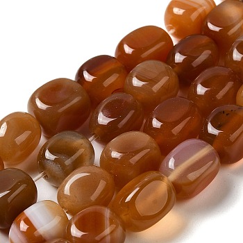 Natural Agate Beads Strands, Dyed & Heated, Cube, Chocolate, 11~12x8~9.5x8~9.5mm, Hole: 1.2mm, about 16pcs/strand, 7.48~7.72''(19~19.6cm)