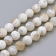 Natural Weathered Agate Beads Strands(G-S249-09-8mm)-1