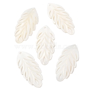Natural Freshwater Shell Big Pendants, Feather Charms, Seashell Color, 56x25.5~26x2~2.5mm, Hole: 2.5mm(SHEL-F007-19)