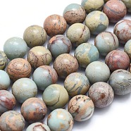 Natural Aqua Terra Jasper Beads Strands, Frosted, Round, 4mm, Hole: 0.8mm, about 100~103pcs/strand, 15.6 inch(40cm)(G-N0128-48F-4mm)