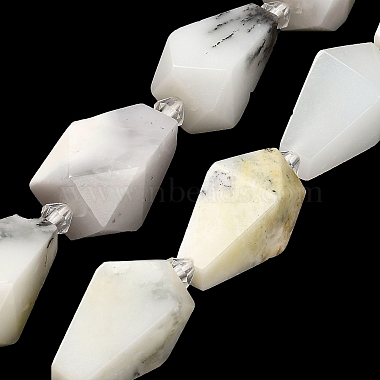 Natural White African Opal  Beads Strands(G-NH0005-B11-01)-3