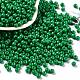 Baking Paint Glass Seed Beads(SEED-H002-I-B508)-1