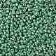 TOHOラウンドシードビーズ(SEED-XTR08-PF0561)-2
