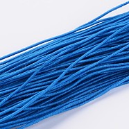 Round Elastic Cord, Made of Rubber, Wrapped by Fibre, Dodger Blue, 1mm, about 25.15~27.34 yards(23~25m)/bundle(X-YRB1MM-11)