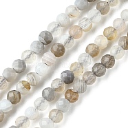 Natural Botswana Agate Beads Strands, Faceted, Round, 2mm, Hole: 0.5mm, about 197pcs/strand, 15.75 inch(40cm)(G-F748-B01-01)