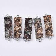 Assembled Natural Bronzite and Synthetic Aqua Terra Jasper Links connectors, Edge Platinum Plated, with Iron Loop, Rectangle, Light Green, 44~46x13x5mm, Hole: 1.6mm(X-G-R455-03B-P)