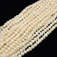Natural Cultured Freshwater Pearl Beads Strands, Potato, Creamy White, 7~8mm, Hole: 0.8mm, about 46~47pcs/strand, 13.77~14.17 inch(PEAR-L001-A-14)