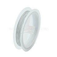 Tiger Tail Wire, Nylon-coated Stainless Steel, White, 28 Gauge(0.3mm) in diameter, about 164.04 Feet(50m)/roll(L0.3MM19)