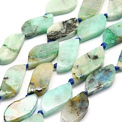 Natural Chrysocolla and Lapis Lazuli Beads Strands, Leaf, 21.5x10.5~11x5.5~6mm, Hole: 0.8~1mm, about 17~19pcs/strand, 14.96~16.14 inch(38~41cm)(G-G106-F01-01)