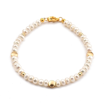 Natural Cultured Freshwater Pearl Beaded Bracelets, with Brass Beads and 304 Stainless Steel Lobster Claw Clasps, Flat Round, Golden, 19.2cm(7-1/2 inch)