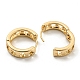 Alloy Hoop Earring(EJEW-P269-24KCG)-2