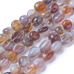 Natural Botswana Agate Beads Strands, Tumbled Stone, Nuggets, 7~11x7~8mm, Hole: 1mm, about 47~48pcs/strand, 15.94 inch(40.5cm)(G-P433-20)