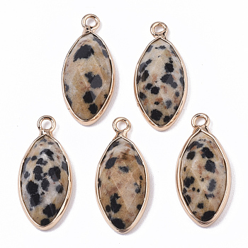 Natural Dalmatian Jasper Pendants, with Golden Plated Edge Brass Findings, Faceted, Horse Eye, 20x9x5mm, Hole: 1.2mm