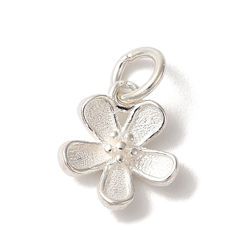 925 Sterling Silver 5-Petal Flower Charms with Jump Rings, Silver, 11.5x11x3mm, Hole: 3.5mm