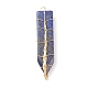 Natural Lapis Lazuli Big Pendants(PALLOY-JF01652-01)-1