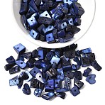 Dyed Natural Freshwater Shell Chips Beads, Shell Shards, Royal Blue, 7~11x5~8mm, Hole: 1mm, about 980pcs/500g(SHEL-O001-12C)