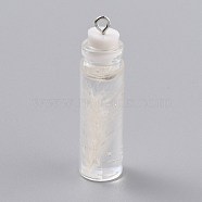 Transparent Glass Bottle Pendant Decorations, with Feather Inside and Plastic Stopper, White, 41x11mm, Hole: 2mm(EGLA-B002-01D)