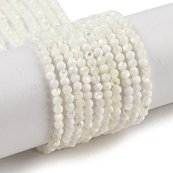 Natural Trochus Shell Beads Strands, Faceted, Round, WhiteSmoke, 2~2.5mm, Hole: 0.5mm, about 187~215pcs/strand, 16.02~16.14 inch(40.7~41cm)(BSHE-G036-08A-01)
