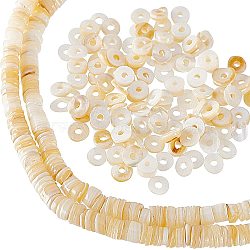 2 Strands Shell Beads Strands, Dyed, Disc, Seashell Color, 4.9~6x0.4~6mm, Hole: 1.4mm,  about 15.94 inch~16.14 inch(40.5~41cm)(SSHEL-NB0001-29)