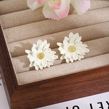 Baking Paint Alloy Stud Earrings(WG8D079-05)-1
