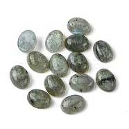 Natural Labradorite Cabochons, Oval, 8~8.5x6~6.5x2.5~3.5mm(X-G-A094-01B-11)