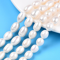 Natural Cultured Freshwater Pearl Beads Strands, Rice, Creamy White, 8.5~14.5x8~9mm, Hole: 0.7mm, about 29~36pcs/strand, 13.74 inch~14.96 inch(34.9cm~38cm)(PEAR-N012-08O)